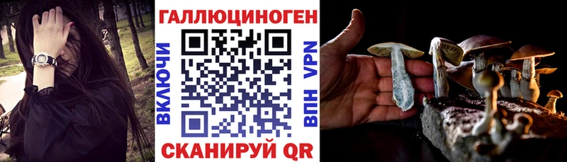 Псилоцибиновые грибы прущие грибы Нахабино